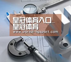 研发能力标题一
