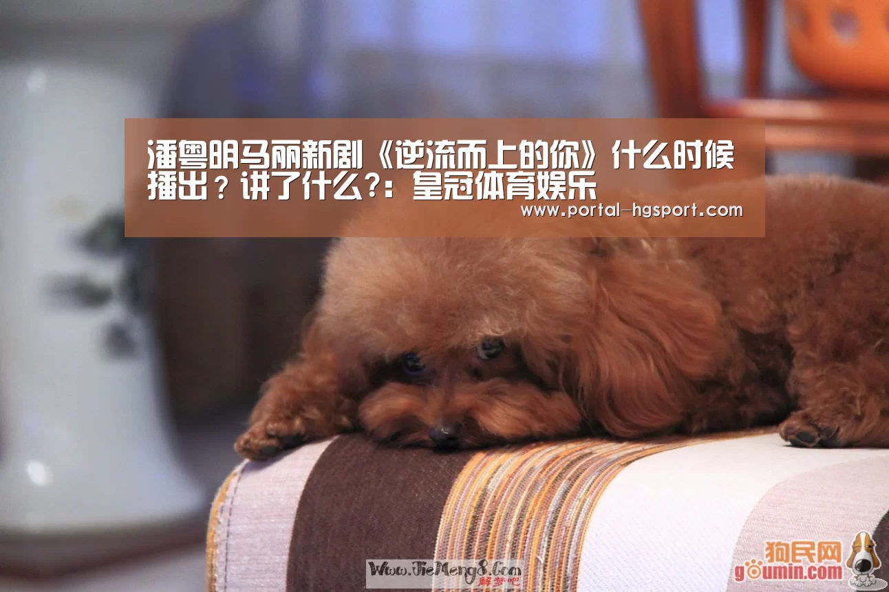 潘粤明马丽新剧《逆流而上的你》什么时候播出?讲了什么?:皇冠体育娱乐(图2) 皇冠体育app
