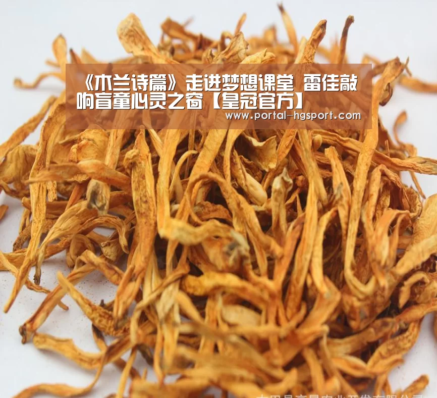 《木兰诗篇》走进梦想课堂 雷佳敲响盲童心灵之窗【皇冠官方】(图1) 皇冠官方