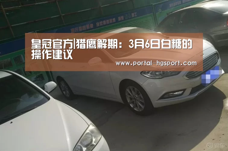 皇冠官方|猎鹰解期:3月6日白糖的操作建议(图3) 皇冠体育app