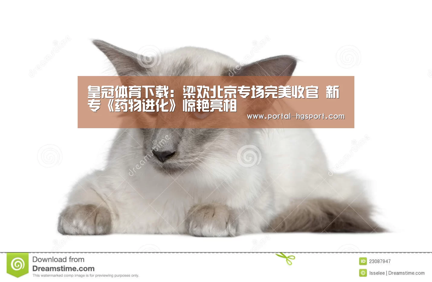 皇冠体育娱乐